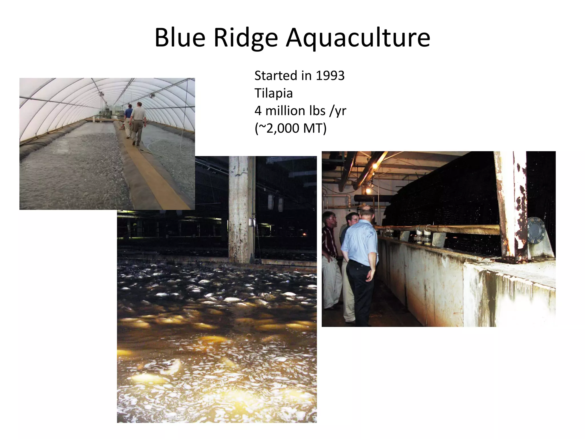 Blue Ridge Aquaculture
Started in 1993
Tilapia
4 million lbs /yr
(~2,000 MT)
 