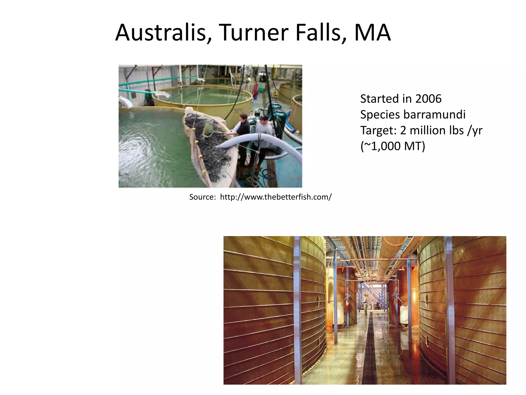 Source: http://www.thebetterfish.com/
Started in 2006
Species barramundi
Target: 2 million lbs /yr
(~1,000 MT)
Australis, Turner Falls, MA
 