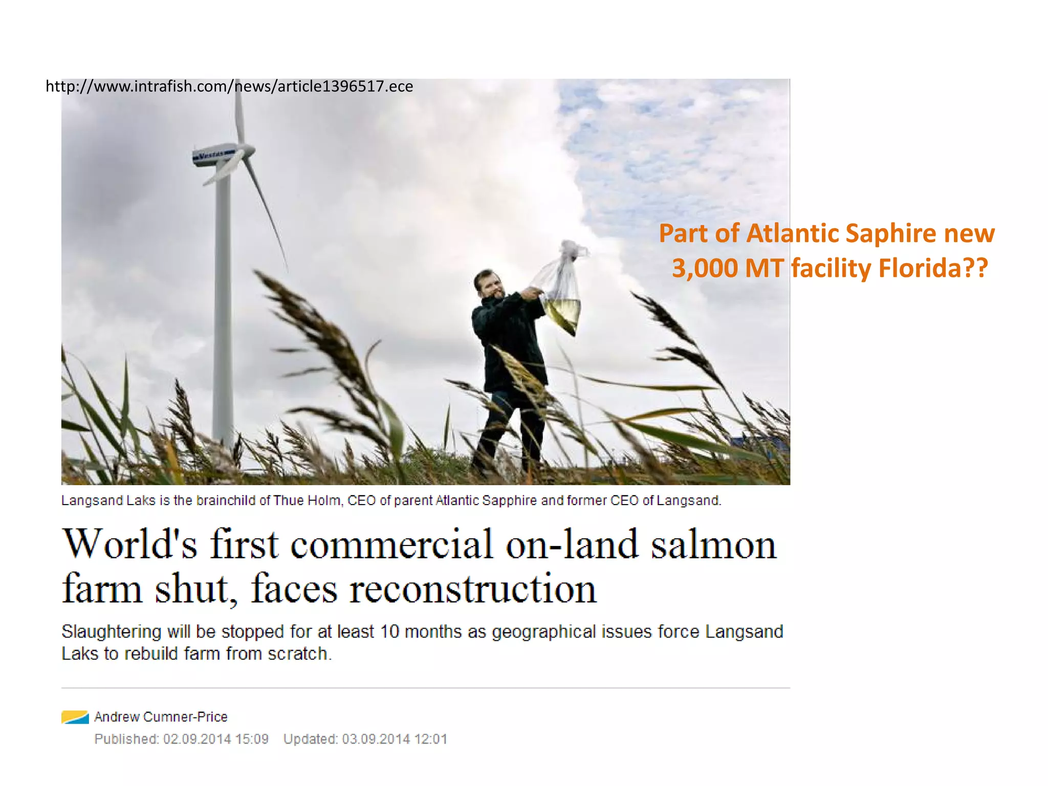 http://www.intrafish.com/news/article1396517.ece
Part of Atlantic Saphire new
3,000 MT facility Florida??
 