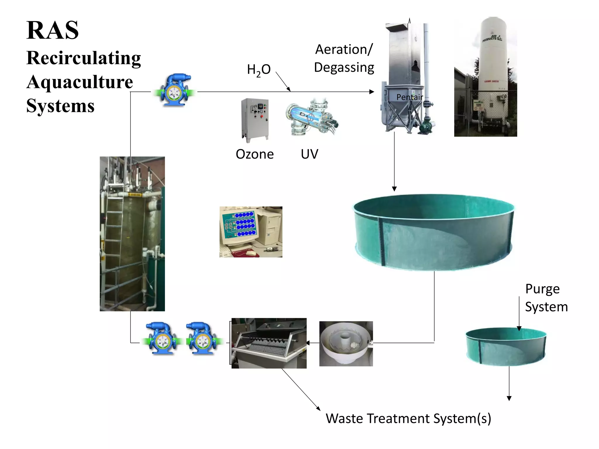RAS
Recirculating
Aquaculture
Systems
Rearing unit
Biofilter
Clarifier
Pentair
Waste Treatment System(s)
Purge
System
Ozone UV
H2O
Aeration/
Degassing
 