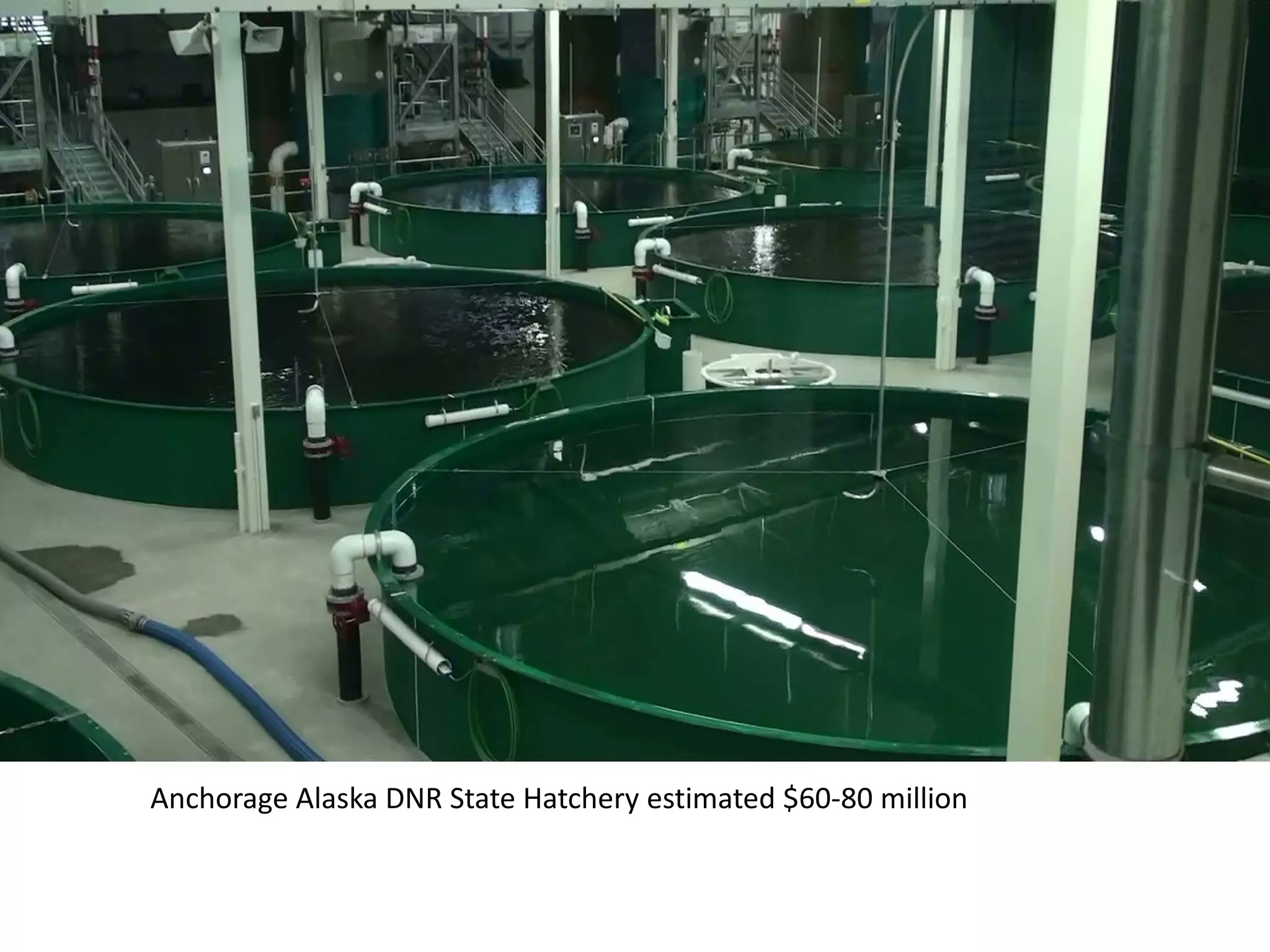 Anchorage Alaska DNR State Hatchery estimated $60-80 million
 