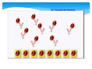 GR Donante-Ac Paciente 
 