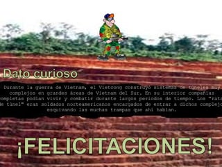 Durante la guerra de Vietnam, el Vietcong construyó sistemas de túneles muy complejos en grandes áreas de Vietnam del Sur. En su interior compañías completas podían vivir y combatir durante largos periodos de tiempo. Los “ratas de túnel" eran soldados norteamericanos encargados de entrar a dichos complejos esquivando las muchas trampas que ahí habían. 