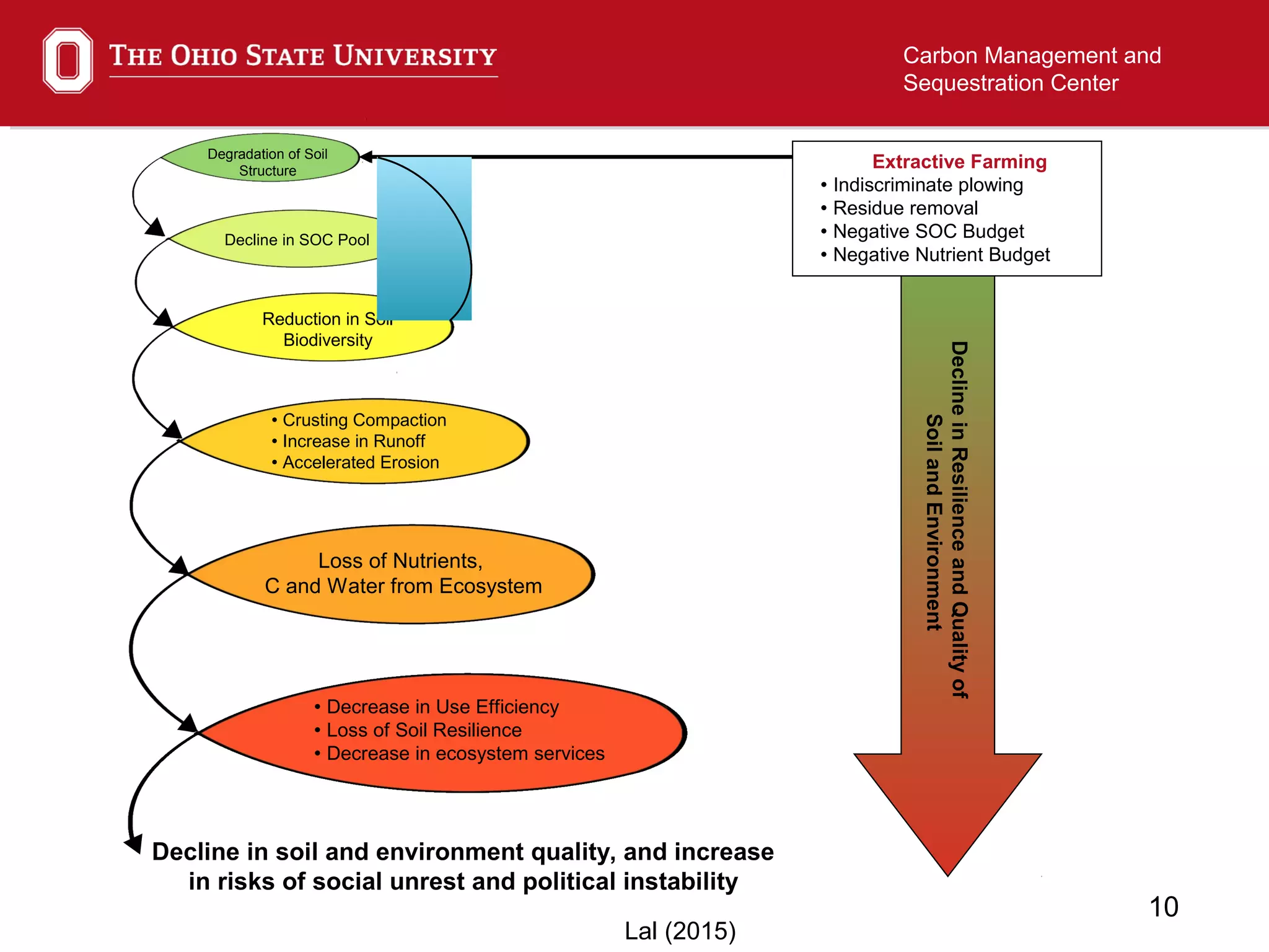 10
Carbon Management and
Sequestration Center
DeclineinResilienceandQualityof
SoilandEnvironment
Decline in SOC Pool
Reduction in Soil
Biodiversity
 Crusting Compaction
 Increase in Runoff
 Accelerated Erosion
Loss of Nutrients,
C and Water from Ecosystem
Degradation of Soil
Structure
Decline in soil and environment quality, and increase
in risks of social unrest and political instability
Extractive Farming
 Indiscriminate plowing
 Residue removal
 Negative SOC Budget
 Negative Nutrient Budget
 Decrease in Use Efficiency
 Loss of Soil Resilience
 Decrease in ecosystem services
Lal (2015)
 