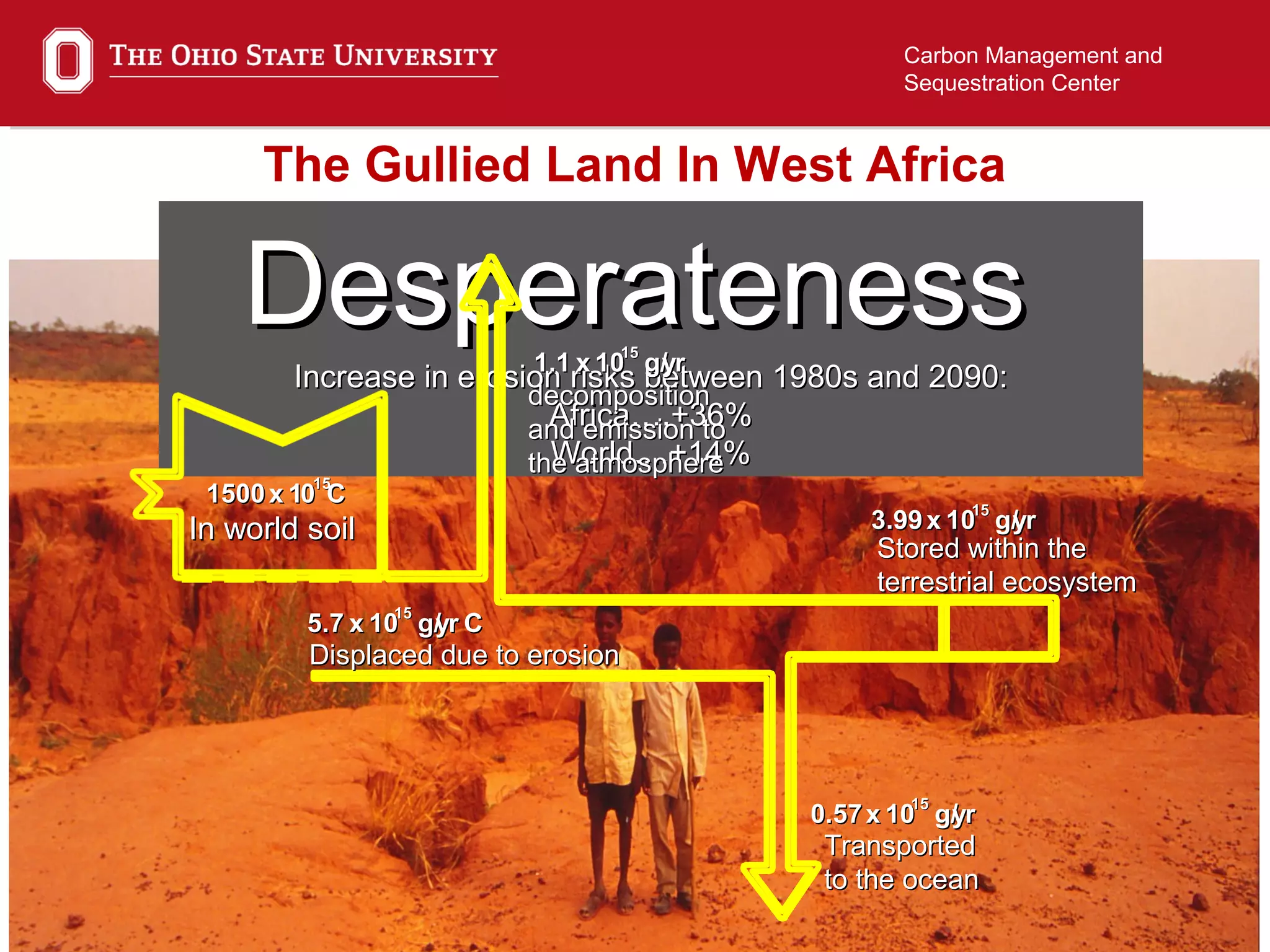 11
Carbon Management and
Sequestration Center
The Gullied Land In West Africa
DesperatenessDesperateness
Increase in erosion risks between 1980s and 2090:Increase in erosion risks between 1980s and 2090:
Africa….+36%Africa….+36%
World....+14%World....+14%
15001500 xx 11001515
CC
1.11.1 xx 10101515
g/g/yyrr
5.75.7 xx 10101515
g/g/yyrr CC
3.993.99 xx 10101515
g/g/yyrr
0.570.57 xx 10101515
g/g/yyrr
decompositiondecomposition
and emission toand emission to
the atmospherethe atmosphere
Stored within theStored within the
terrestrial ecosystemterrestrial ecosystem
Displaced due to erosionDisplaced due to erosion
TransportedTransported
to the oceanto the ocean
In world soilIn world soil
 