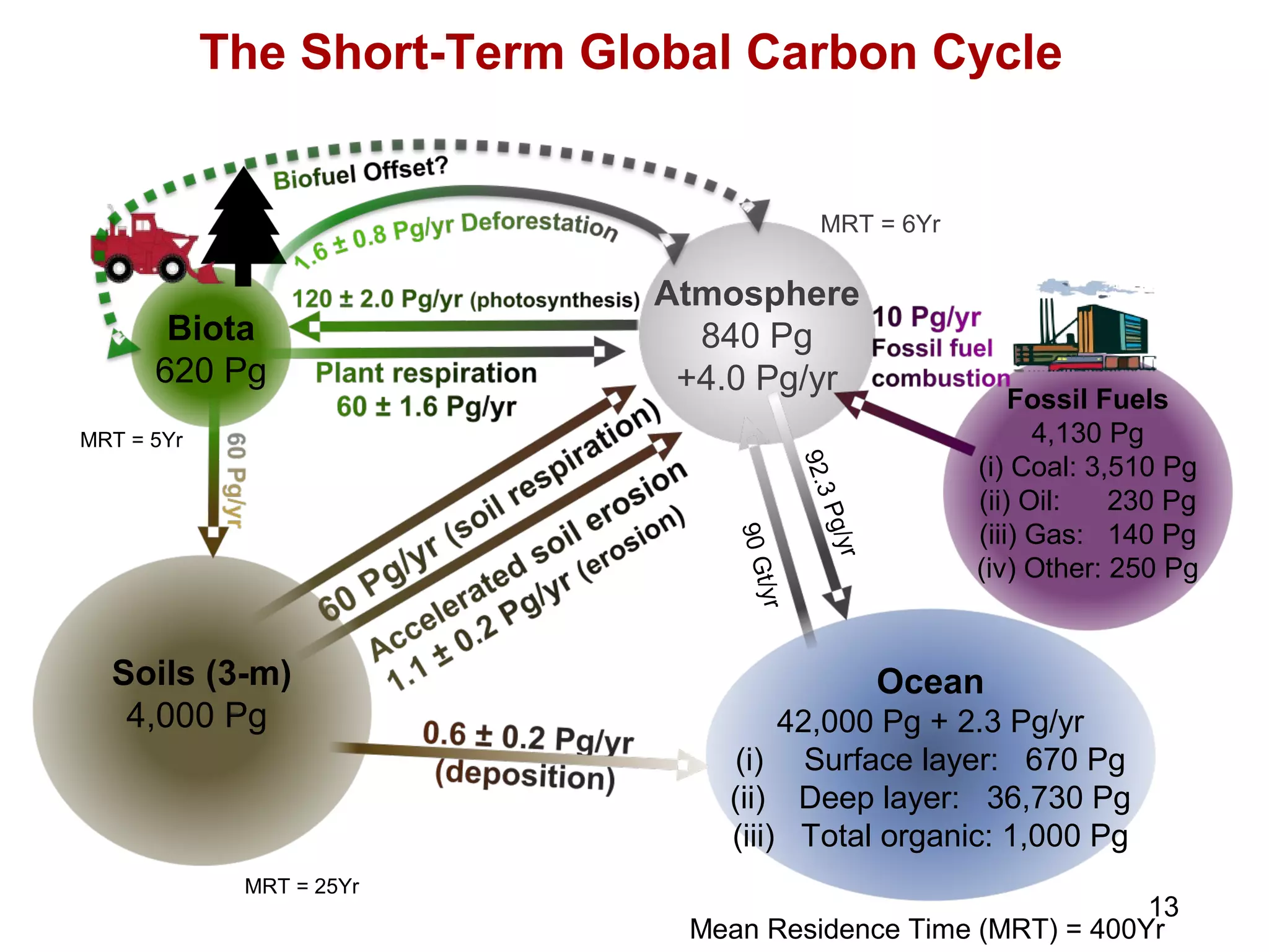 13
Carbon Management and
Sequestration Center
Biota
620 Pg
Atmosphere
840 Pg
+4.0 Pg/yr
Soils (3-m)
4,000 Pg
Ocean
42,000 Pg + 2.3 Pg/yr
(i) Surface layer: 670 Pg
(ii) Deep layer: 36,730 Pg
(iii) Total organic: 1,000 Pg
Fossil Fuels
4,130 Pg
(i) Coal: 3,510 Pg
(ii) Oil: 230 Pg
(iii) Gas: 140 Pg
(iv) Other: 250 Pg
90Gt/yr
MRT = 5Yr
MRT = 25Yr
Mean Residence Time (MRT) = 400Yr
MRT = 6Yr
92.3Pg/yr
The Short-Term Global Carbon Cycle
 
