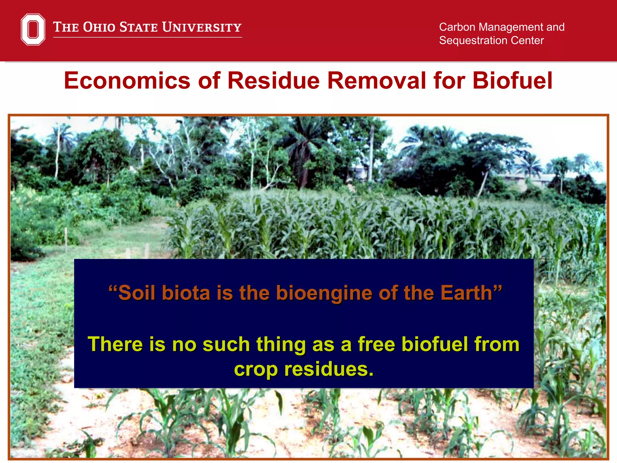22
Carbon Management and
Sequestration Center
““Soil biota is the bioengine of the Earth”Soil biota is the bioengine of the Earth”
There is no such thing as a free biofuel fromThere is no such thing as a free biofuel from
crop residues.crop residues.
There is no such thing as a free biofuel fromThere is no such thing as a free biofuel from
crop residues.crop residues.
Economics of Residue Removal for Biofuel
 