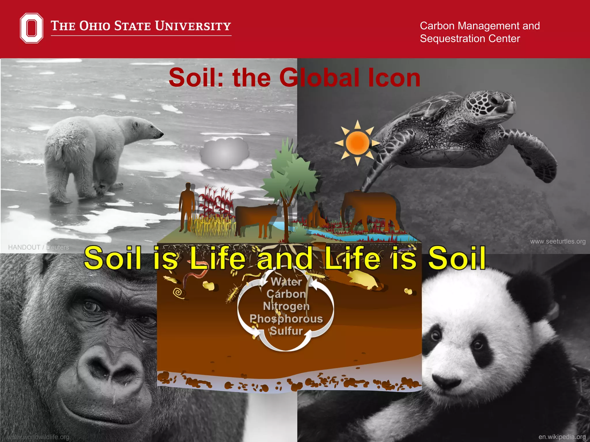 26
Carbon Management and
Sequestration Center
en.wikipedia.orgwww.worldwildlife.org
www.seeturtles.org
HANDOUT / Reuters
Soil: the Global Icon
 