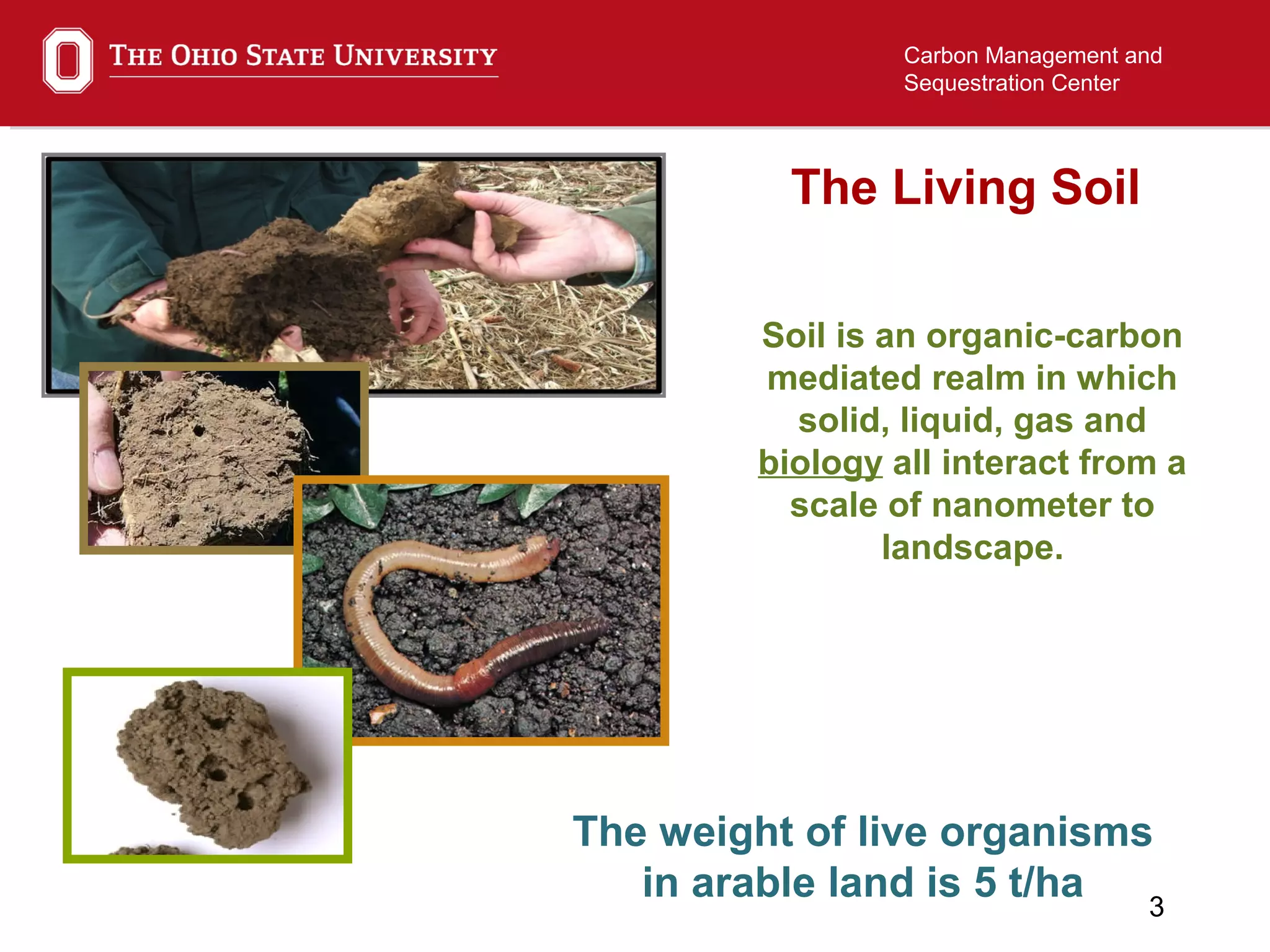 3
Carbon Management and
Sequestration Center
Soil is an organic-carbon
mediated realm in which
solid, liquid, gas and
biology all interact from a
scale of nanometer to
landscape.
The Living Soil
The weight of live organisms
in arable land is 5 t/ha
 