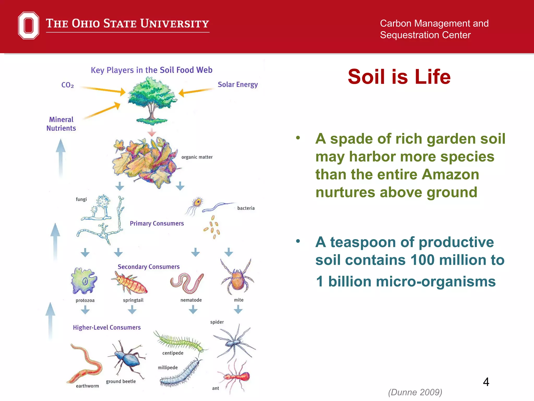 4
Carbon Management and
Sequestration Center
• A spade of rich garden soil
may harbor more species
than the entire Amazon
nurtures above ground
• A teaspoon of productive
soil contains 100 million to
1 billion micro-organisms
(Dunne 2009)
Soil is Life
 