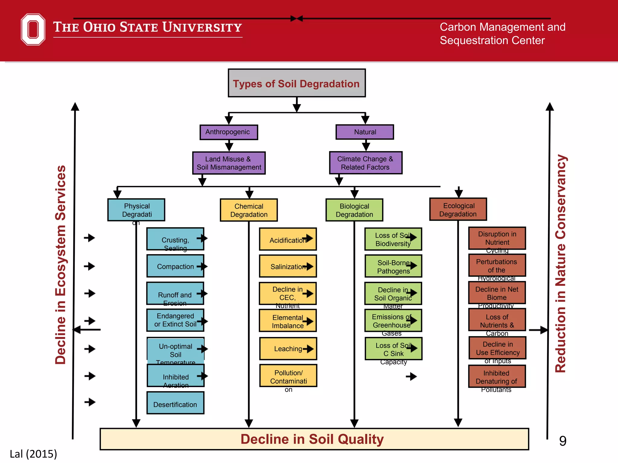 9
Carbon Management and
Sequestration Center
Types of Soil Degradation
Anthropogenic Natural
Land Misuse &
Soil Mismanagement
Climate Change &
Related Factors
Crusting,
Sealing
Compaction
Runoff and
Erosion
Endangered
or Extinct Soil
Un-optimal
Soil
Temperature
Inhibited
Aeration
Desertification
Physical
Degradati
on
Acidification
Salinization
Decline in
CEC,
Nutrient
Depletion
Elemental
Imbalance
Leaching
Pollution/
Contaminati
on
Chemical
Degradation
Loss of Soil
Biodiversity
Soil-Borne
Pathogens
Decline in
Soil Organic
Matter
Emissions of
Greenhouse
Gases
Loss of Soil
C Sink
Capacity
Biological
Degradation
Decline in Soil Quality
DeclineinEcosystemServices
ReductioninNatureConservancy
Disruption in
Nutrient
Cycling
Perturbations
of the
Hydrological
CycleDecline in Net
Biome
Productivity
Loss of
Nutrients &
Carbon
Decline in
Use Efficiency
of Inputs
Ecological
Degradation
Inhibited
Denaturing of
Pollutants
Lal (2015)
 