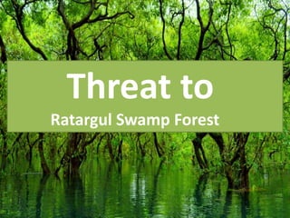 Threat to
Ratargul Swamp Forest
 