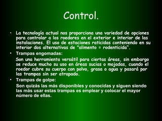 Control. La tecnología actual nos proporciona una variedad de opciones para controlar a los roedores en el exterior e interior de las instalaciones. El uso de estaciones raticidas conteniendo en su interior dos alternativas de "alimento = rodenticida“.  Trampas engomadas: Son una herramienta versátil para ciertas áreas, sin embargo se reduce mucho su uso en áreas sucias o mojadas, cuando el roedor cubre su cuerpo con polvo, grasa o agua y pasará por las trampas sin ser atrapado.  Trampas de golpe: Son quizás las más disponibles y conocidas y siguen siendo las más usar estas trampas es emplear y colocar el mayor número de ellas. 
