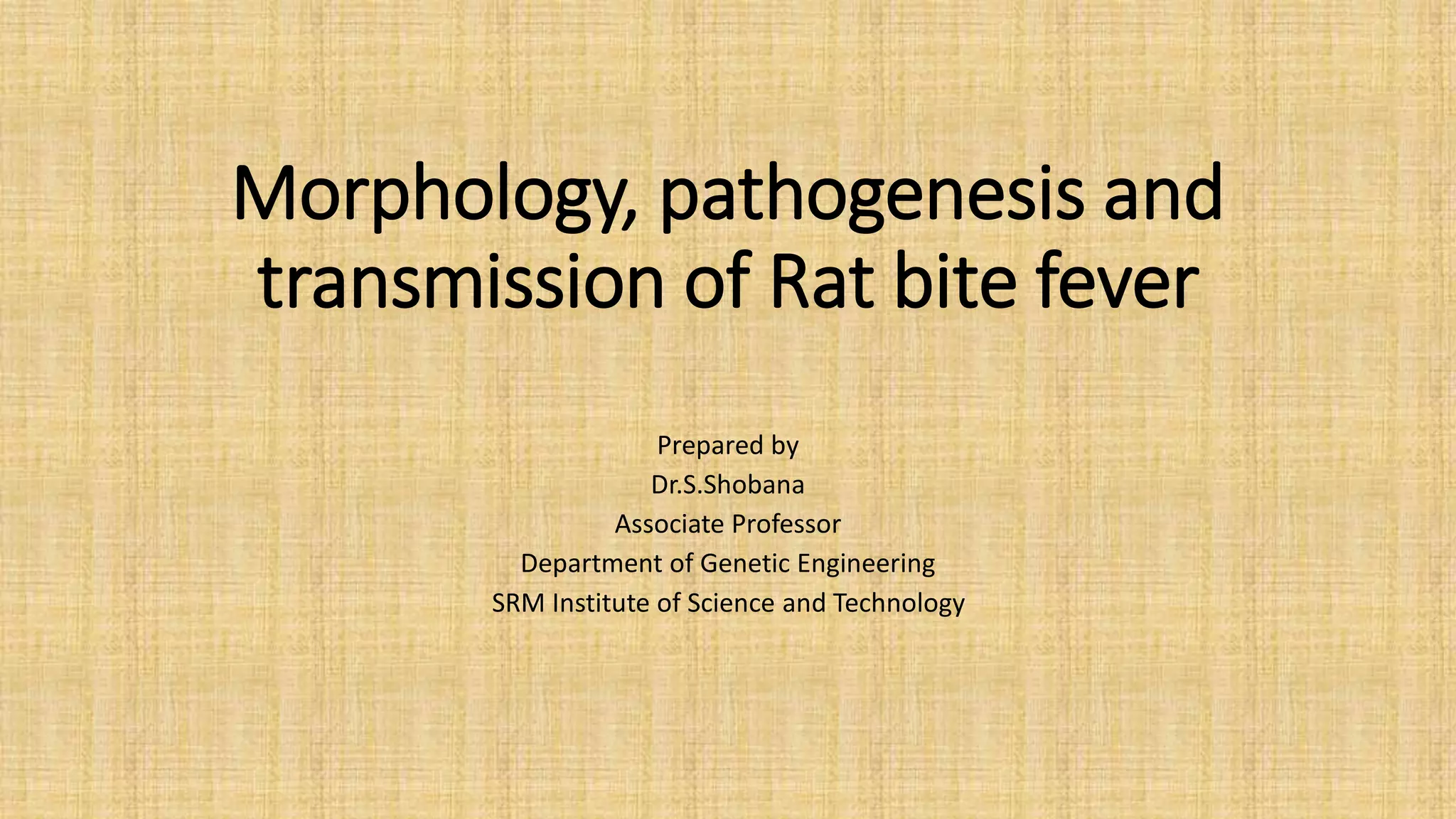 Rat bite fever | PDF