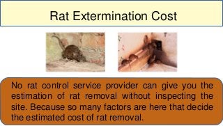 Rat Extermination Cost
No rat control service provider can give you the
estimation of rat removal without inspecting the
site. Because so many factors are here that decide
the estimated cost of rat removal.
 