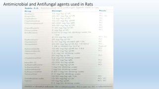 Antimicrobial and Antifungal agents used in Rats
 