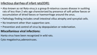 Infectious diarrhea of infant rats(IDIR):
• Also known as rat Rota virus,is a group B rotavirus causes disease in suckling
rats of less than 2 wks age charecterized by presence of soft yellow faeces or
occumulation of dried faeces or haemorrhage around the anus.
• Pathology finding includes small intestinal villus atrophy and syncytial cells.
• No treatment other than supportive care.
• Prevention and control of virus by depopulation or rederivation.
Miscellanious viral infections:
Hanta virus have been recognized in wild rats.
Cyto megalovirus,adenoviruses.
 