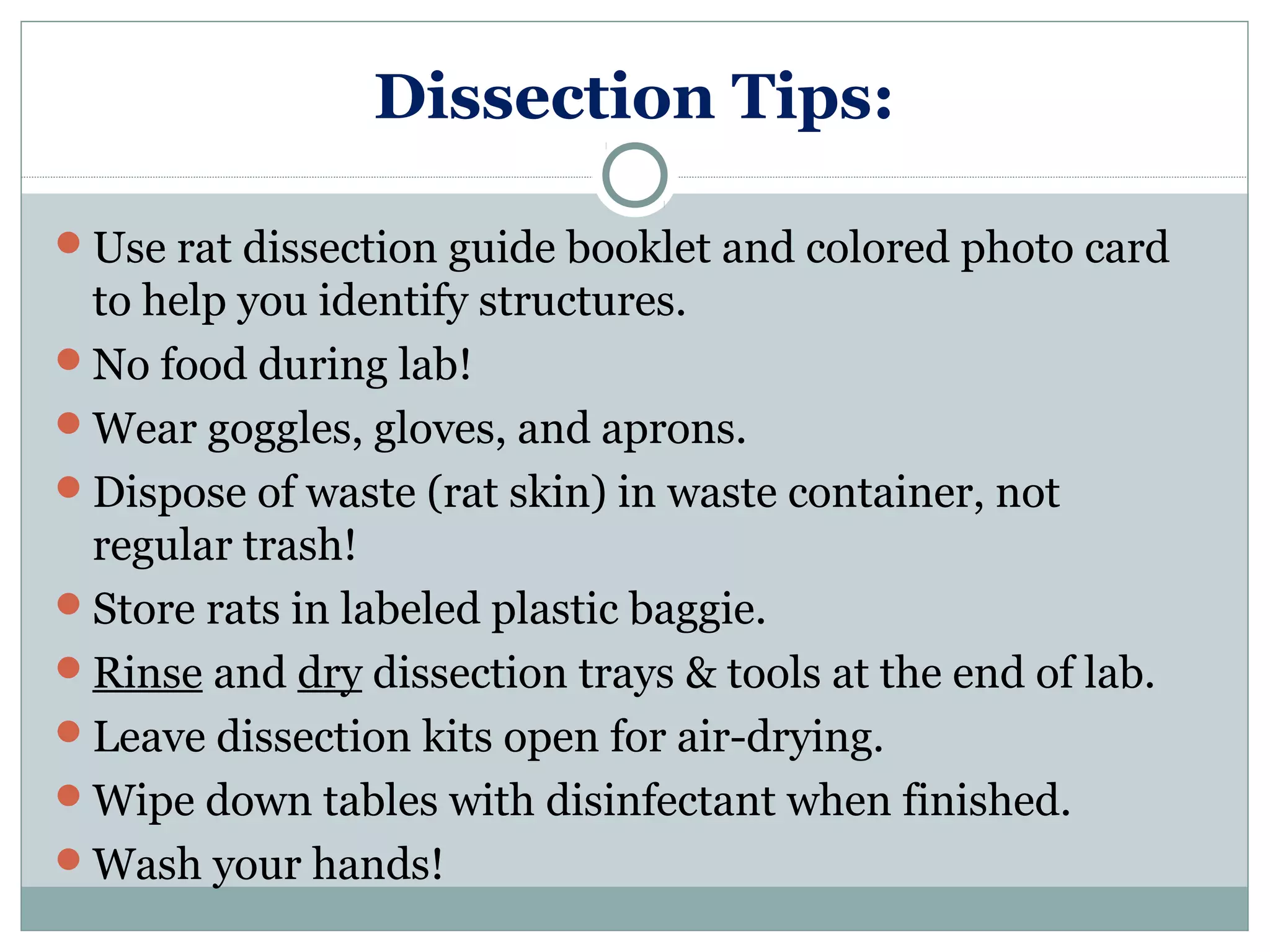 Dissection Tips:
Use rat dissection guide booklet and colored photo card
to help you identify structures.
No food during lab!
Wear goggles, gloves, and aprons.
Dispose of waste (rat skin) in waste container, not
regular trash!
Store rats in labeled plastic baggie.
Rinse and dry dissection trays & tools at the end of lab.
Leave dissection kits open for air-drying.
Wipe down tables with disinfectant when finished.
Wash your hands!