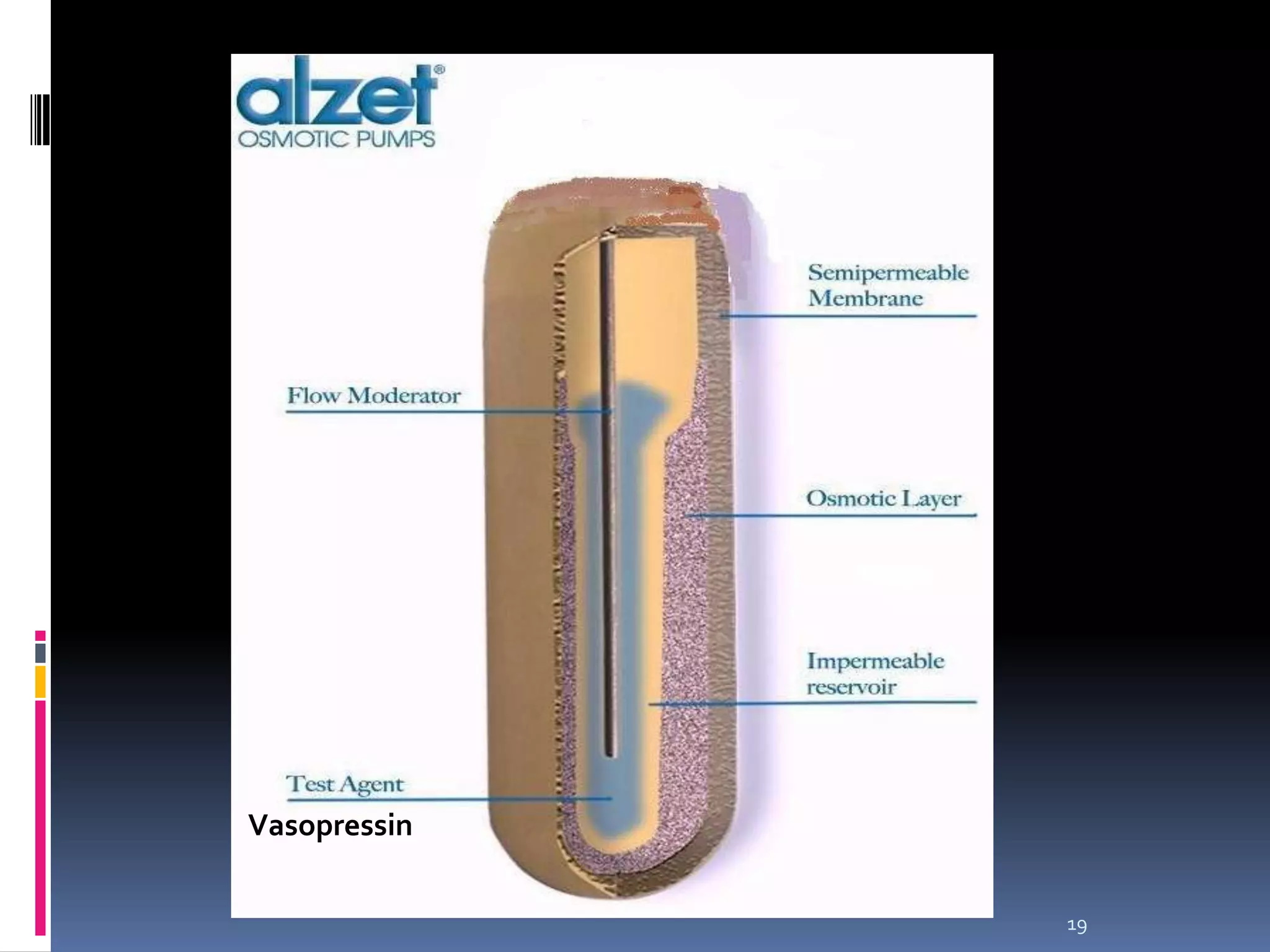 Vasopressin

              19
 