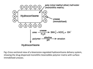 Fig:-Cross-sectional view of a bioerosion-regulated hydrocortisone delivery system,
showing the drug-dispersed monolithic bioerodible polymer matrix with surface-
immobilized ureases.
 
