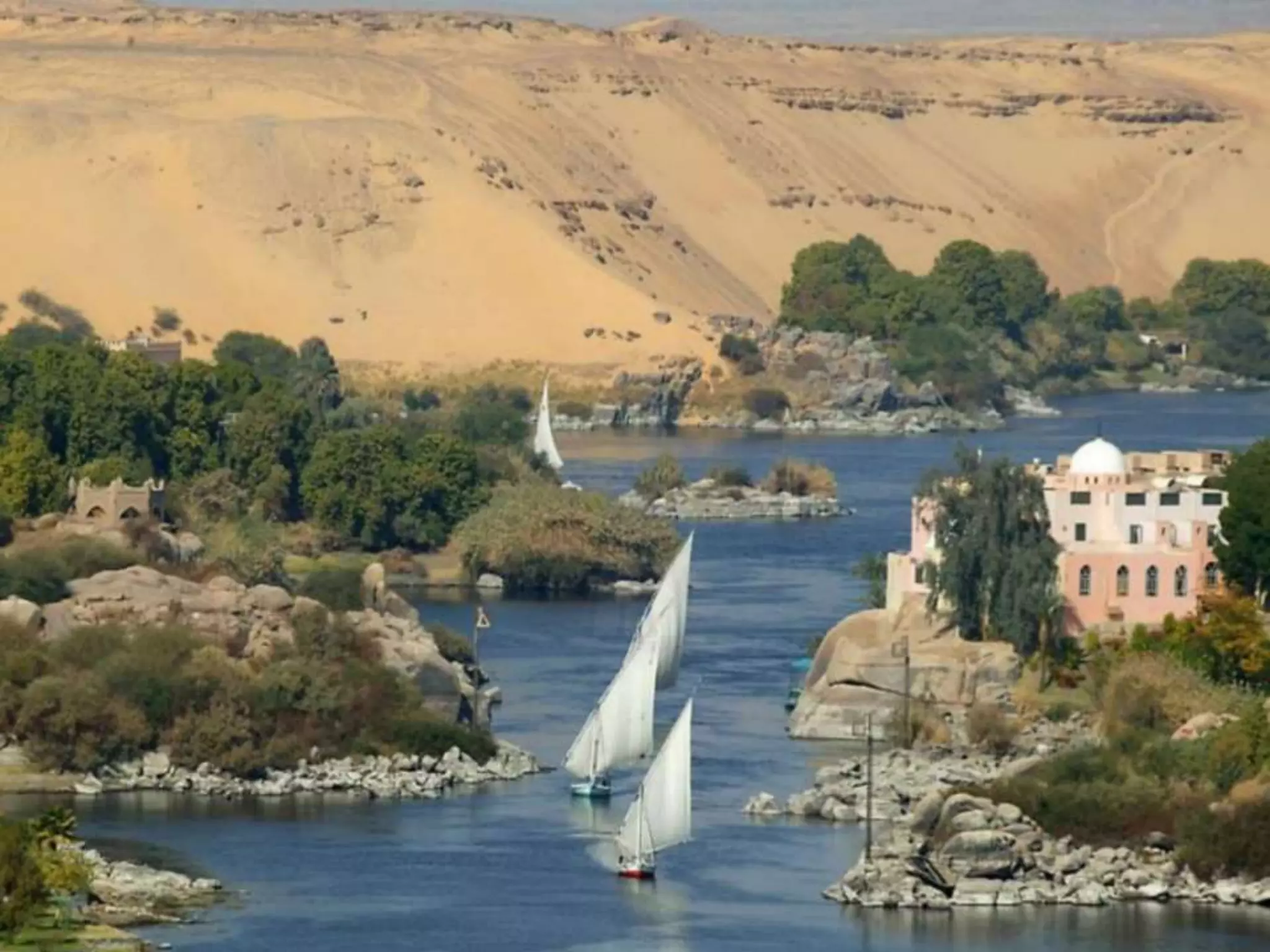 Rate of kidney function decline (KFD) and subsequent ESRD - prof. Ahmed Shokr 