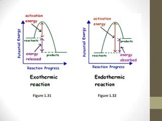 Figure 1.31   Figure 1.32
 