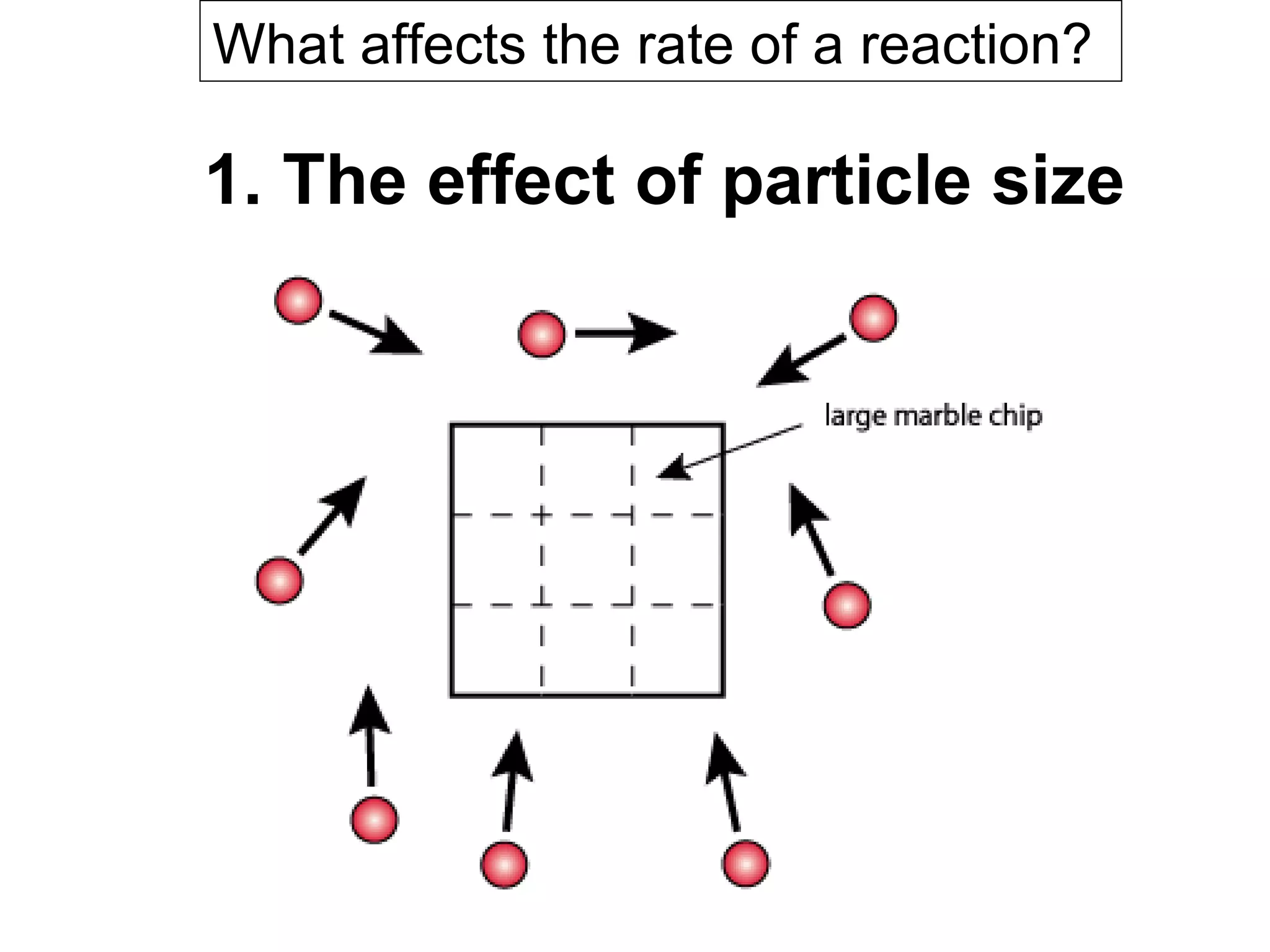 1. The effect of particle size What affects the rate of a reaction?  