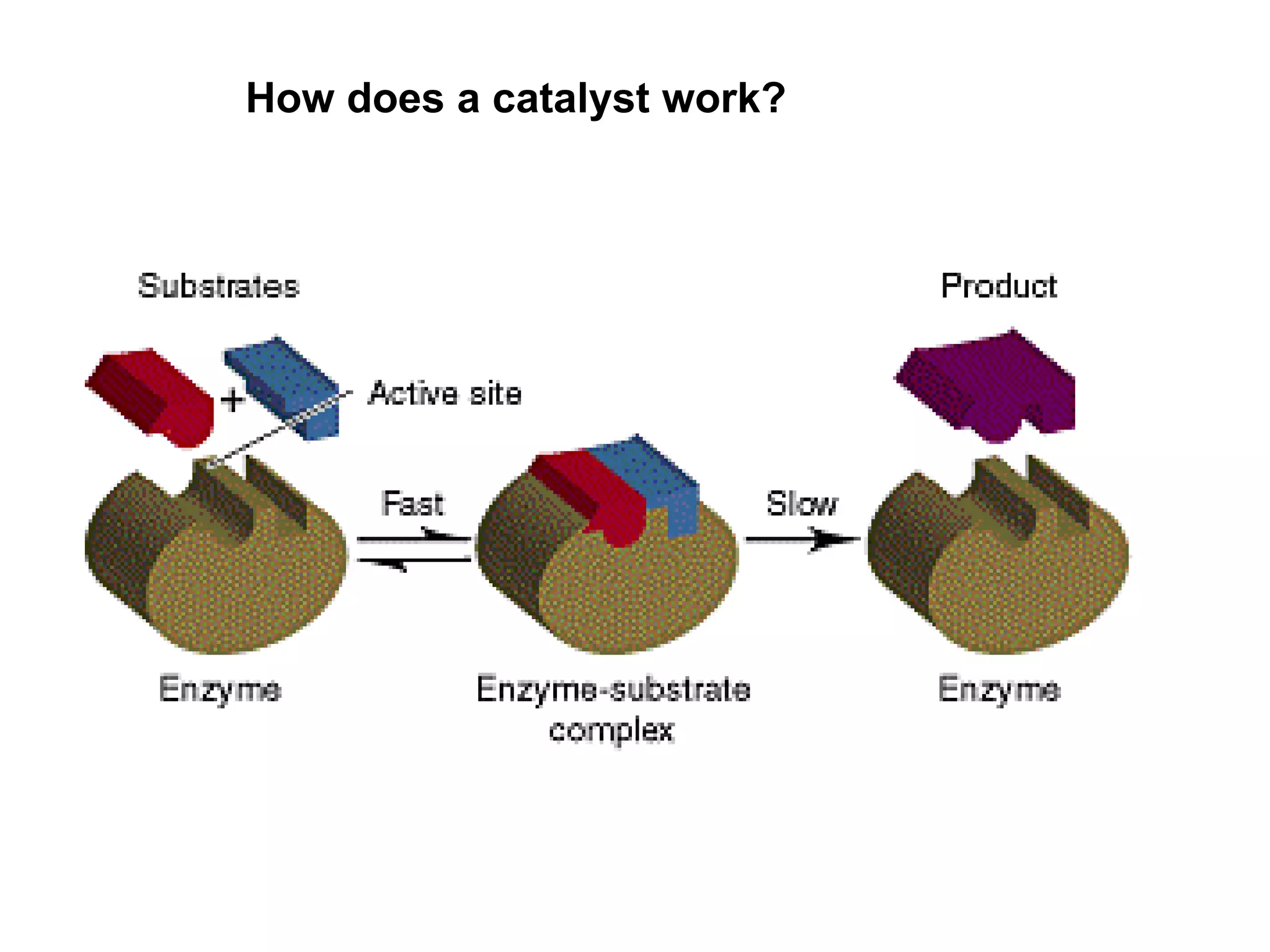 How does a catalyst work? 