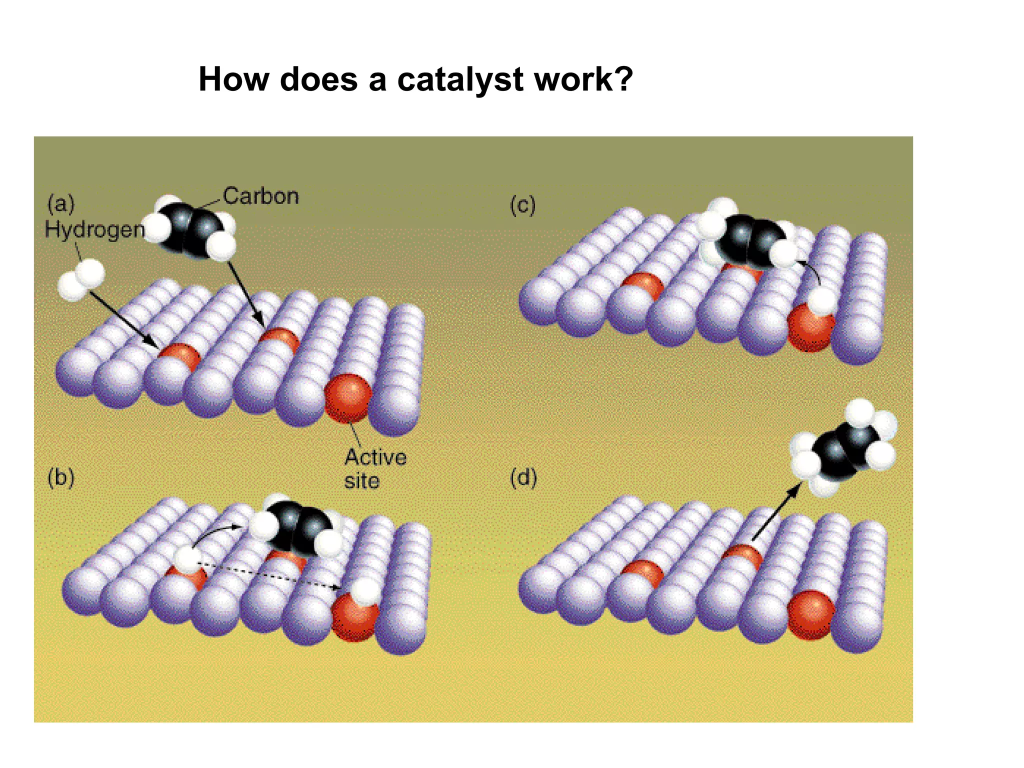 How does a catalyst work? 