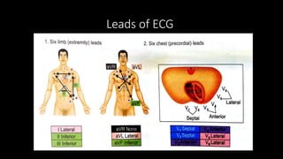 Clinical Basics of ECG rate rhythm and axis | PPTX