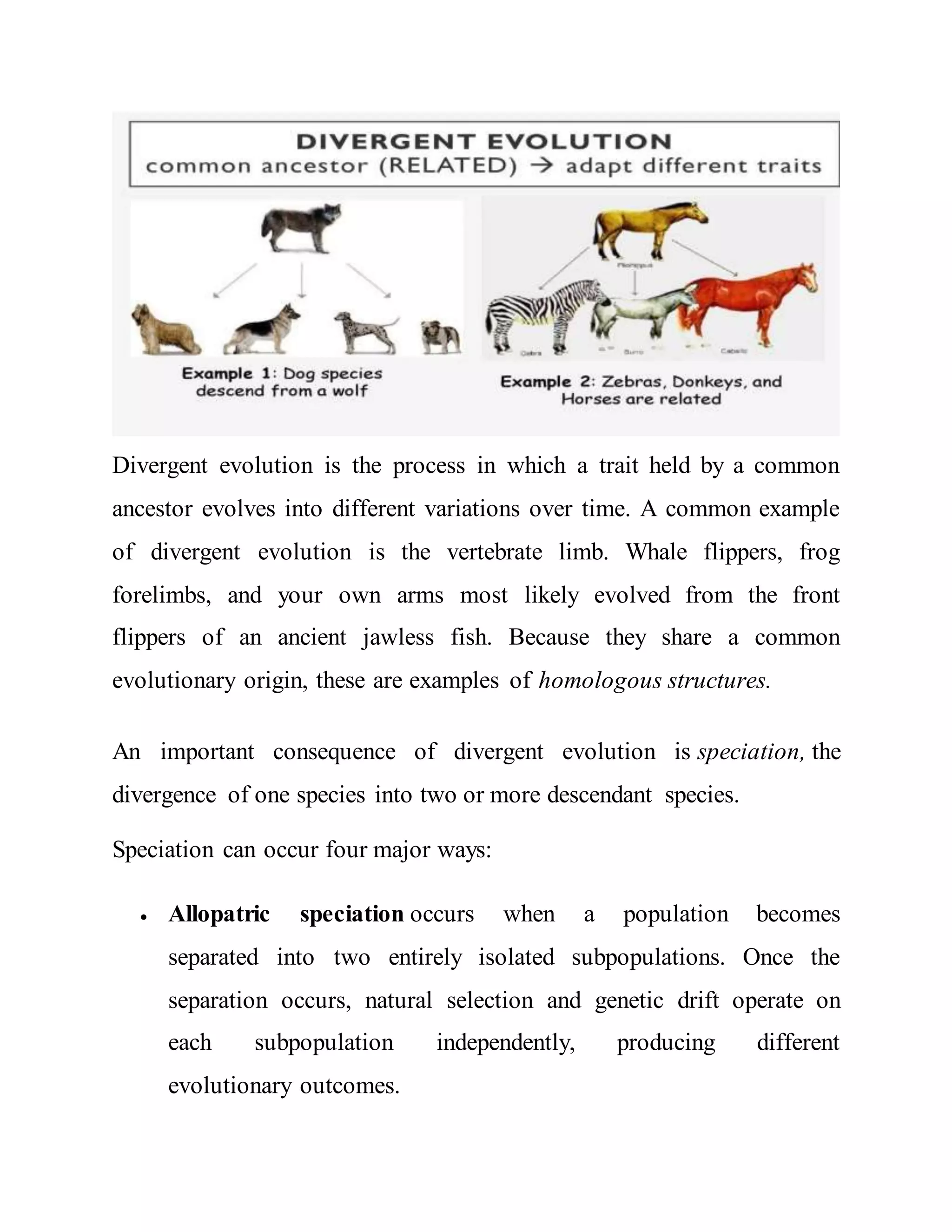 Rates and trends of evolution