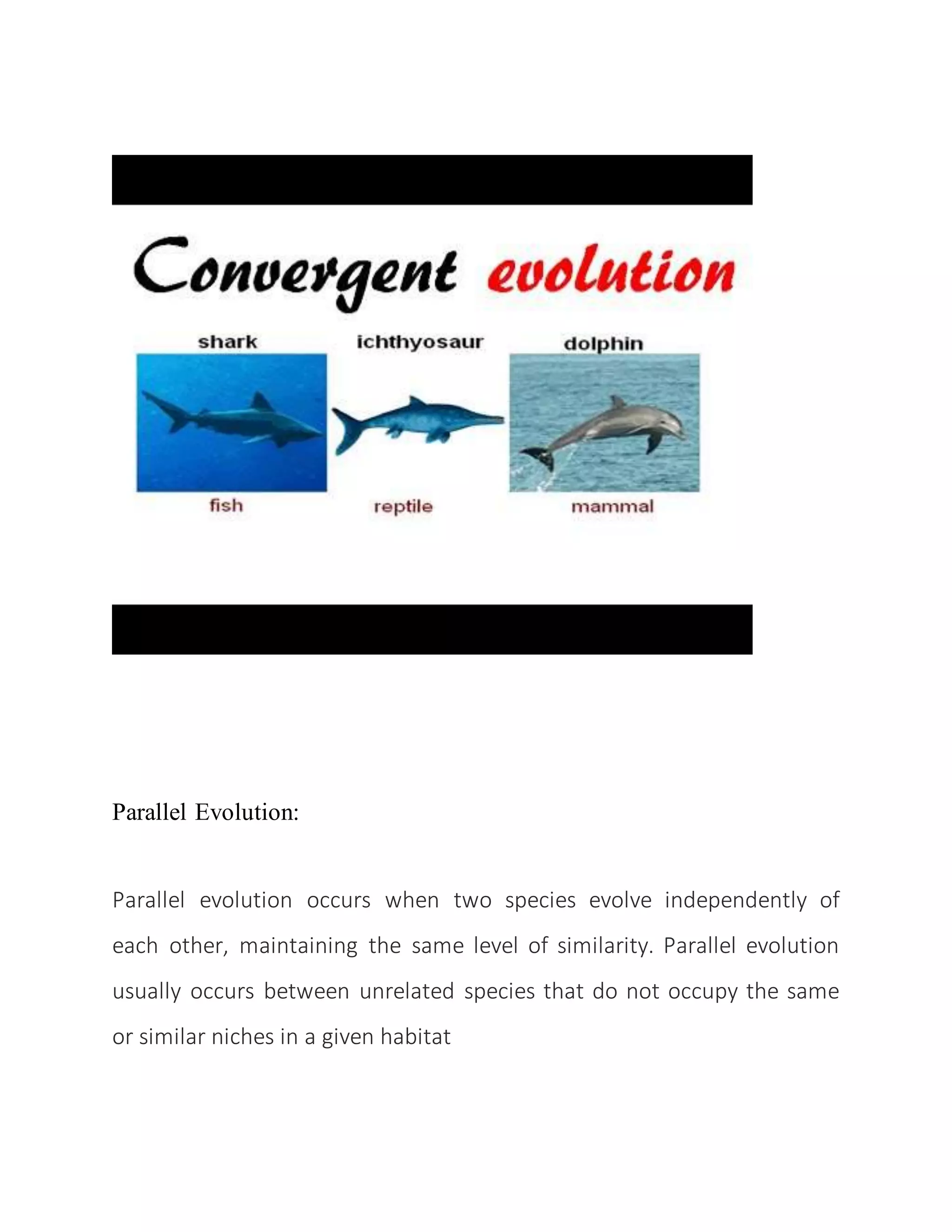 Rates and trends of evolution