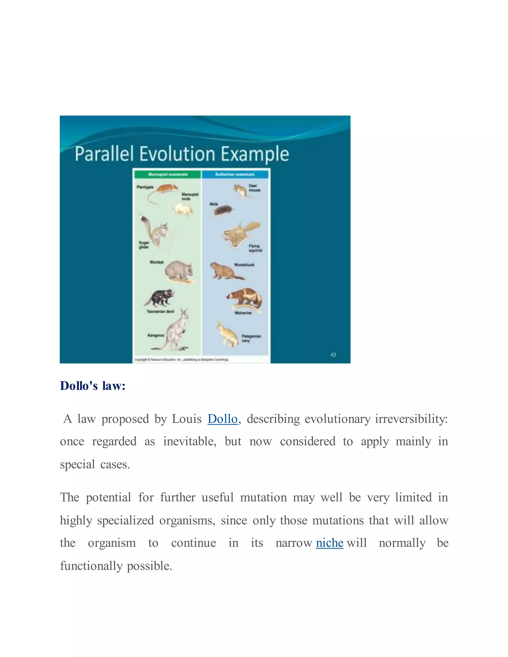 Rates and trends of evolution