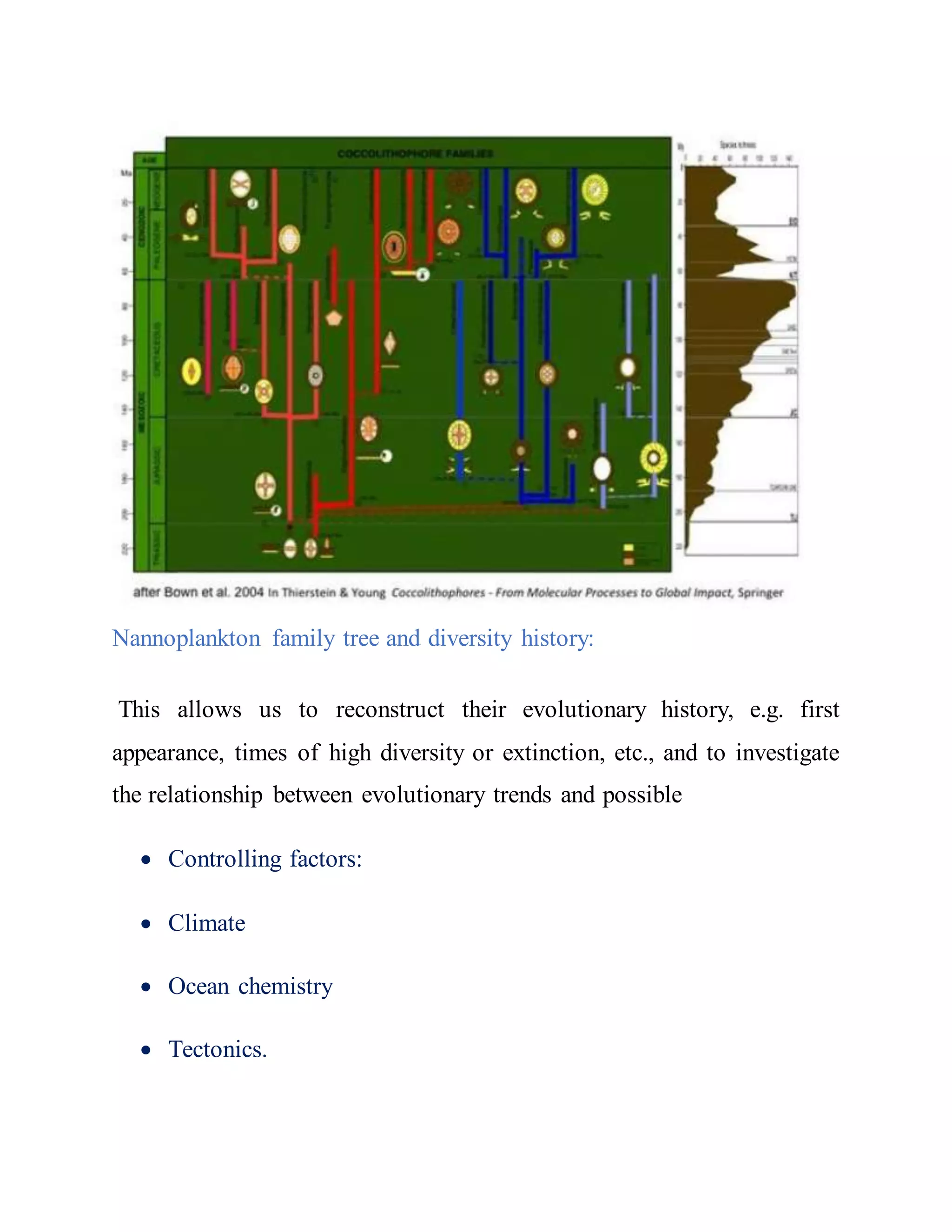 Rates and trends of evolution