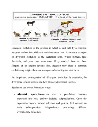 Rates and trends of evolution | DOCX