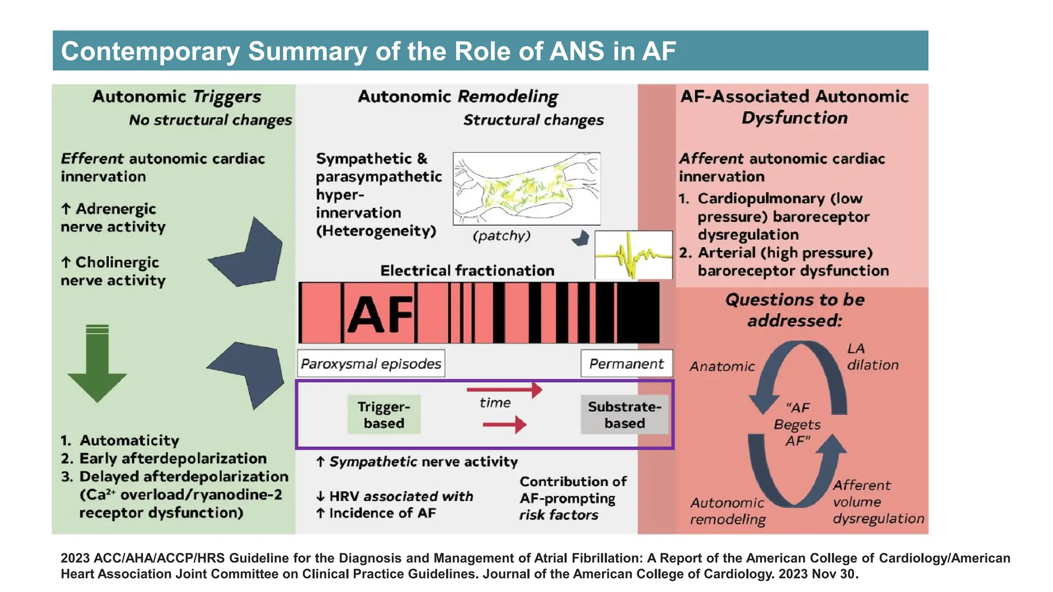 Contemporary Summary of the Role of ANS in AF
2023 ACC/AHA/ACCP/HRS Guideline for the Diagnosis and Management of Atrial Fibrillation: A Report of the American College of Cardiology/American
Heart Association Joint Committee on Clinical Practice Guidelines. Journal of the American College of Cardiology. 2023 Nov 30.
 