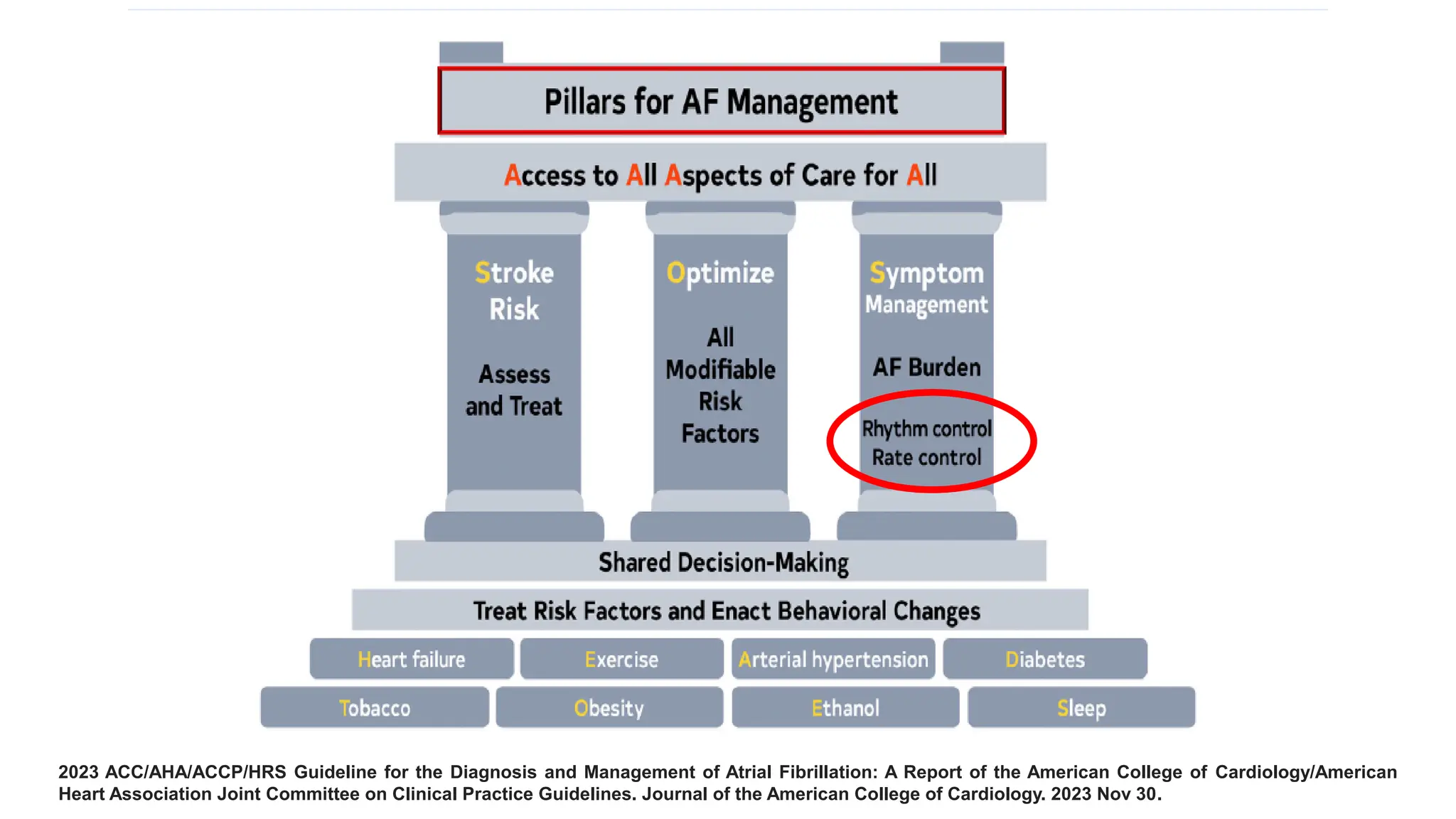 2023 ACC/AHA/ACCP/HRS Guideline for the Diagnosis and Management of Atrial Fibrillation: A Report of the American College of Cardiology/American
Heart Association Joint Committee on Clinical Practice Guidelines. Journal of the American College of Cardiology. 2023 Nov 30.
 