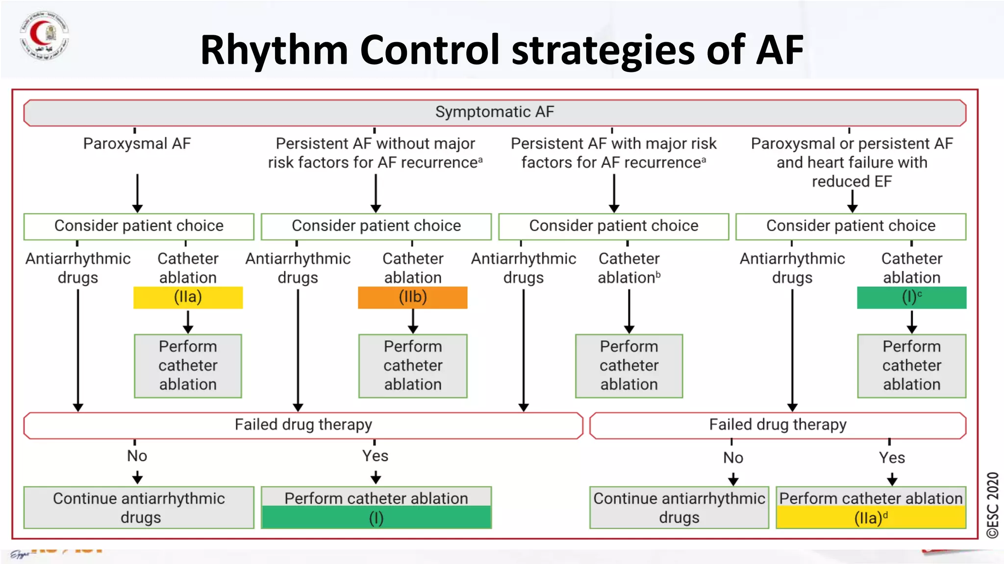Rate vs rhythm control, what is new in esc 2020