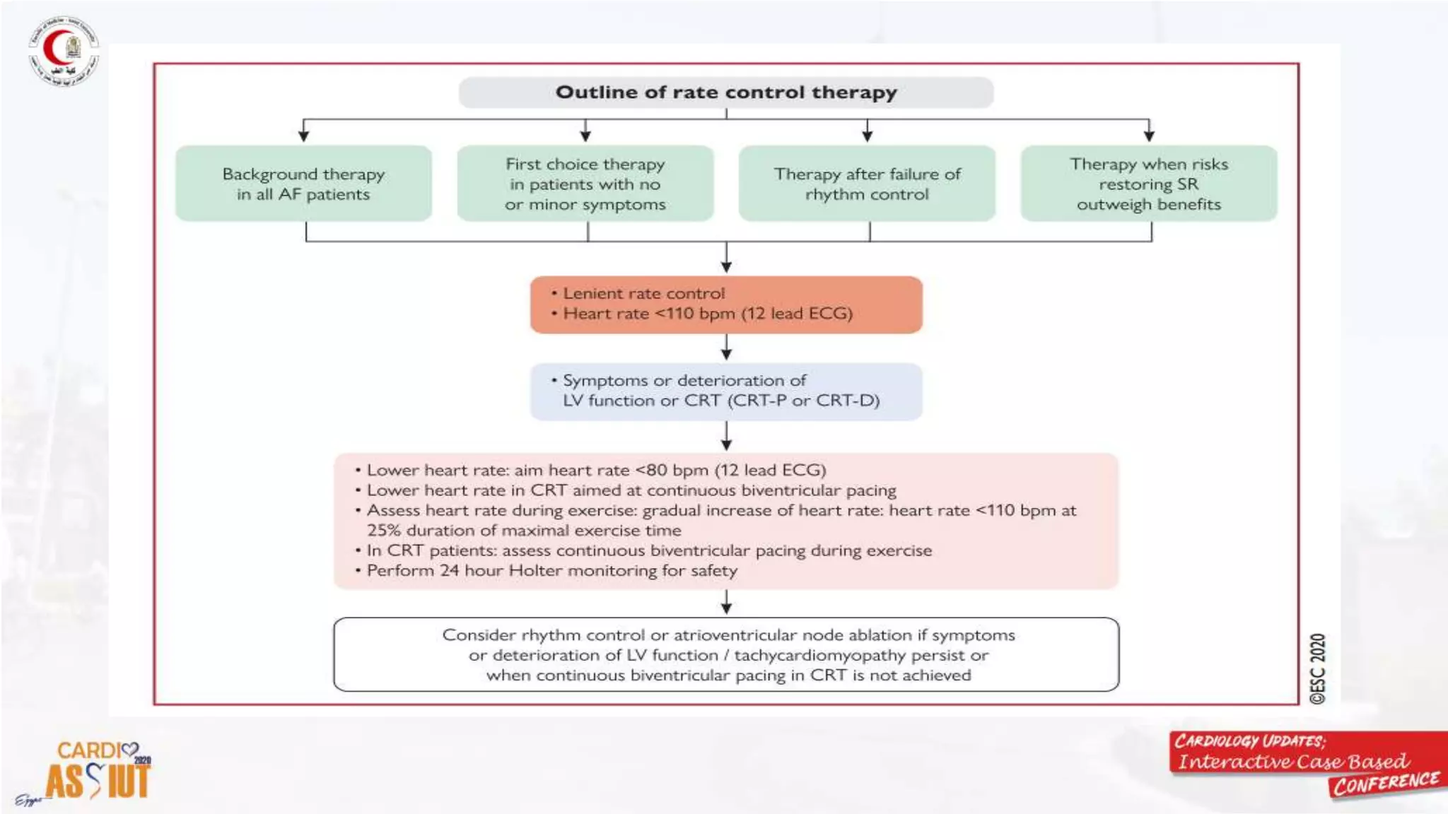 Rate vs rhythm control, what is new in esc 2020