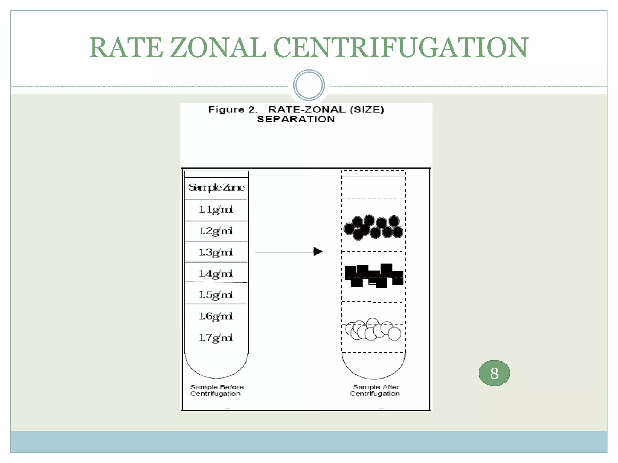 Rate zonal centrifugation and Its applications | PPTX