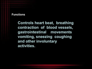 Functions 
Controls heart beat, breathing 
contraction of blood vessels, 
gastrointestinal movements 
vomiting, sneezing coughing 
and other involuntary 
activities. 
 