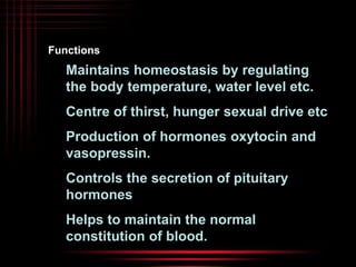 Functions 
Maintains homeostasis by regulating 
the body temperature, water level etc. 
Centre of thirst, hunger sexual drive etc 
Production of hormones oxytocin and 
vasopressin. 
Controls the secretion of pituitary 
hormones 
Helps to maintain the normal 
constitution of blood. 
 