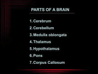 PARTS OF A BRAIN 
1.Cerebrum 
2.Cerebellum 
3. Medulla oblongata 
4.Thalamus 
5.Hypothalamus 
6.Pons 
7.Corpus Callosum 
 