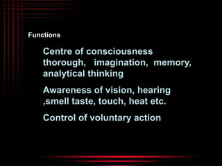 Functions 
Centre of consciousness 
thorough, imagination, memory, 
analytical thinking 
Awareness of vision, hearing 
,smell taste, touch, heat etc. 
Control of voluntary action 
 