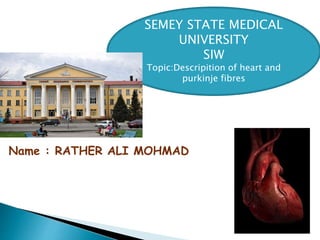 Name : RATHER ALI MOHMAD
SEMEY STATE MEDICAL
UNIVERSITY
SIW
Topic:Descripition of heart and
purkinje fibres
 