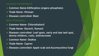 ORGANO PHOSPOROUS
 Common Name-Edifenphos (organo phosphate)
 Trade Name- Hinosan
 Diseases controlled- Blast
Miscellaneous
 Common Name- Chlorothalonil
 Trade Name- Daconil, Kawach
 Diseases controlled- Leaf spots, early and late leaf spot,
downy mildews, rusts, anthracnoses
 Common Name- Dodine
 Trade Name- Cyprex
 Diseases controlled- Apple scab and Ascomycotina fungi
 