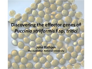 Discovering	
  the	
  eﬀector	
  genes	
  of	
  
 Puccinia	
  striiformis	
  f.sp.	
  tri.ci	
  


                     John	
  Rathjen	
  
           The	
  Australian	
  Na;onal	
  University	
  
 