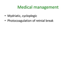 Medical management
• Mydriatic, cycloplegic
• Photocoagulation of retnial break
 