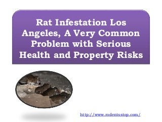 Rat Infestation Los
Angeles, A Very Common
Problem with Serious
Health and Property Risks
http://www.rodentsstop.com/
 