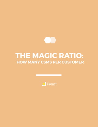 HOW MANY CSMS PER CUSTOMER
THE MAGIC RATIO:
 